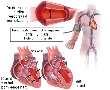 Bloeddruk